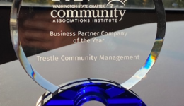 2021-1111-Trestle-Named-WSCAI-Business-Partner-Company-of-the-Year-PHOTO