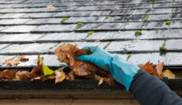 Clearing autumn gutter blocked with leaves by hand