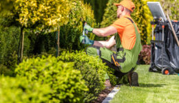 Garden Worker Trimming Plants