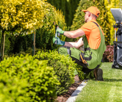 Garden Worker Trimming Plants