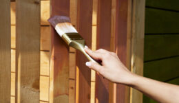 woman's hand with a paint brush