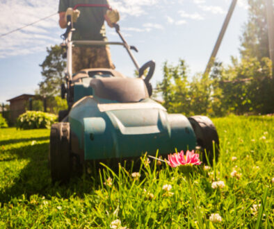 Lawn mover on green grass in modern garden or backyard. Machine for cutting lawns. Gardening care tools and equipment. Process of lawn trimming