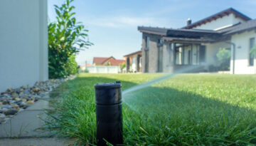 automatic watering system in the back yard garden with green grass
