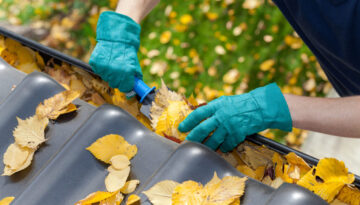 Cleaning gutters from leaves